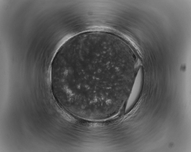 X0000100201275200806131221