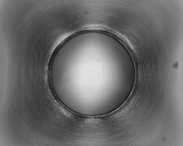 X0000100201277200806131221