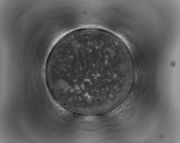 X0000100201279200806131221