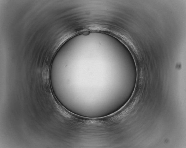 X0000100201281200806131221