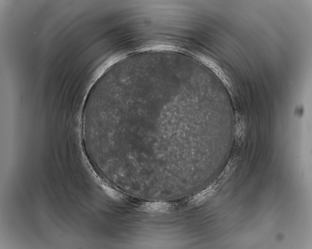 X0000100201282200806131221