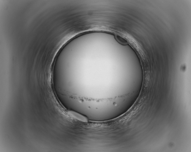 X0000100201284200806131221