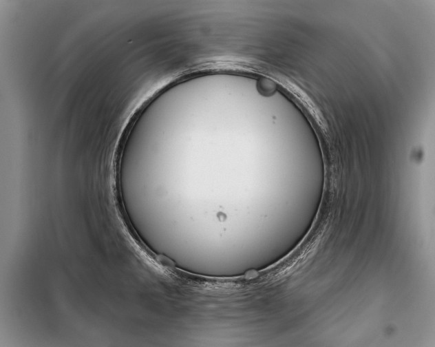 X0000100201285200806131221