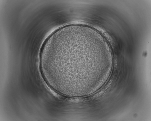 X0000100201286200806131221