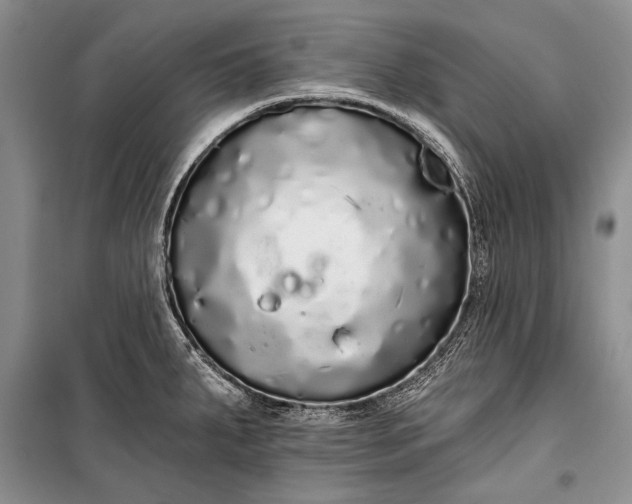 X0000100201287200806131221