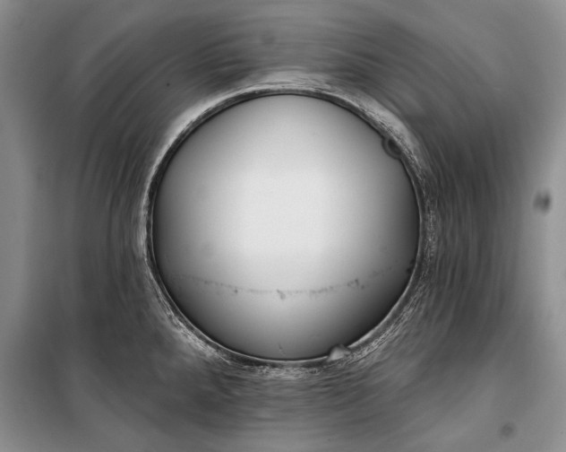 X0000100201288200806131221