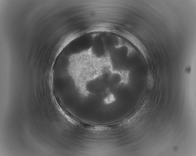 X0000100201290200806131221