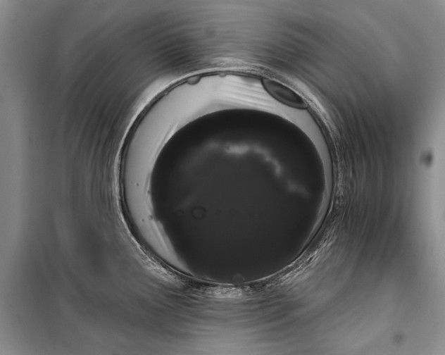 X0000100201291200806131221