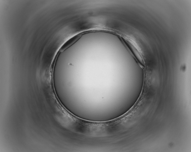 X0000100201292200806131221