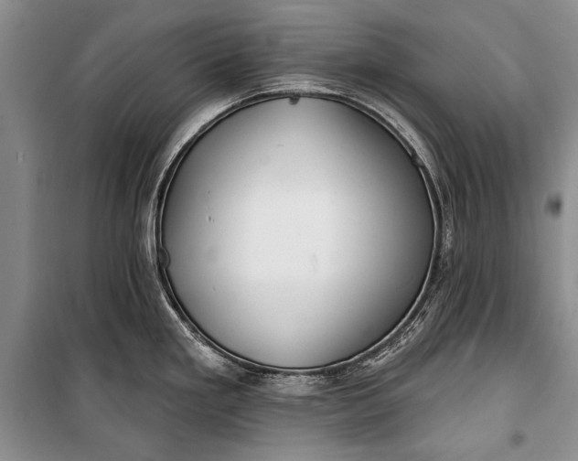 X0000100201293200806131221