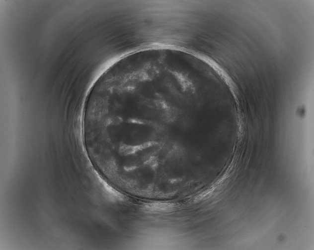 X0000100201294200806131221