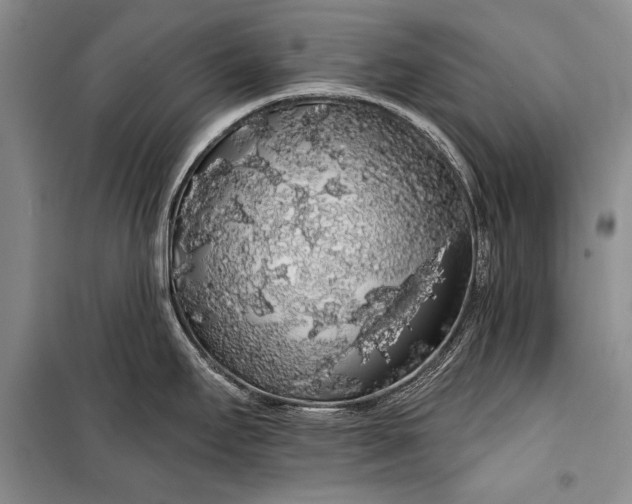 X0000100201295200806131221