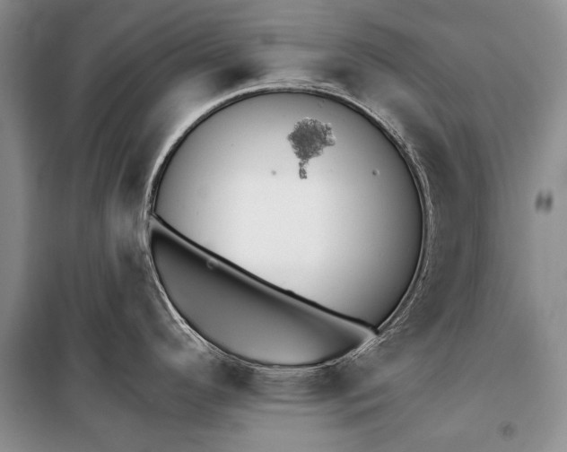 X0000100201296200806131221