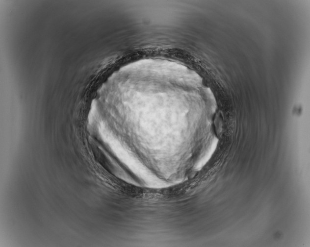 X0000100201297200806131220