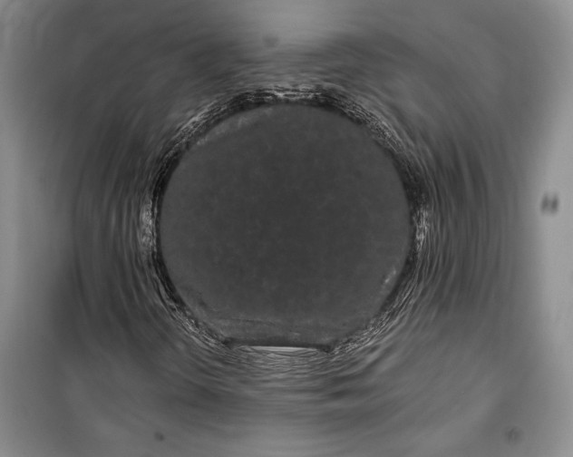 X0000100201298200806131220