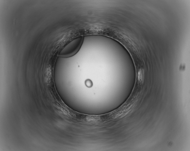 X0000100201299200806131220