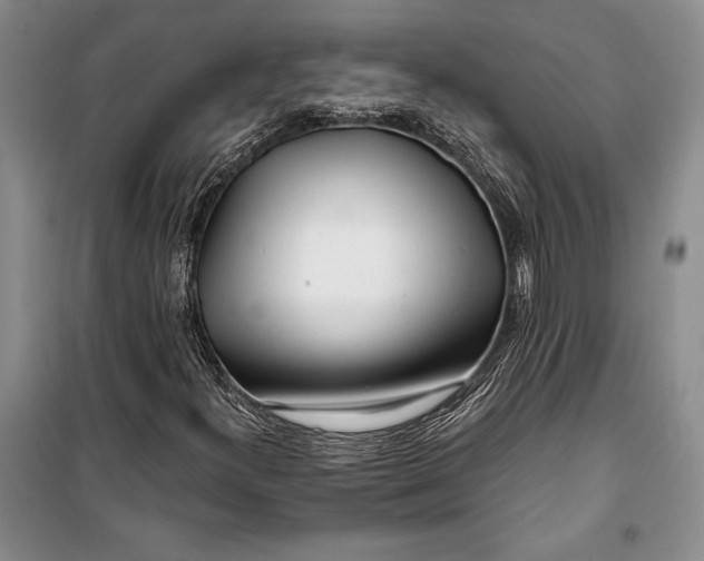 X0000100201300200806131220