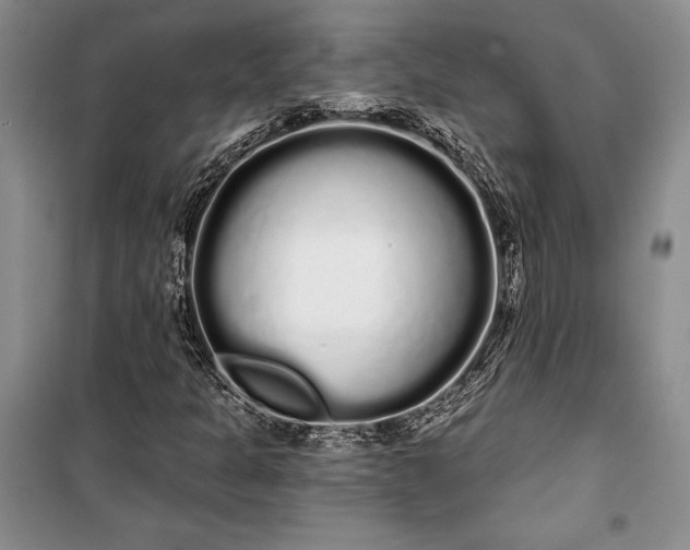 X0000100201301200806131220