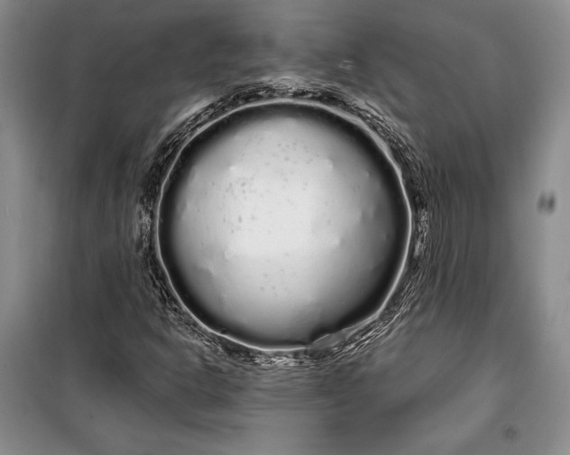 X0000100201302200806131220