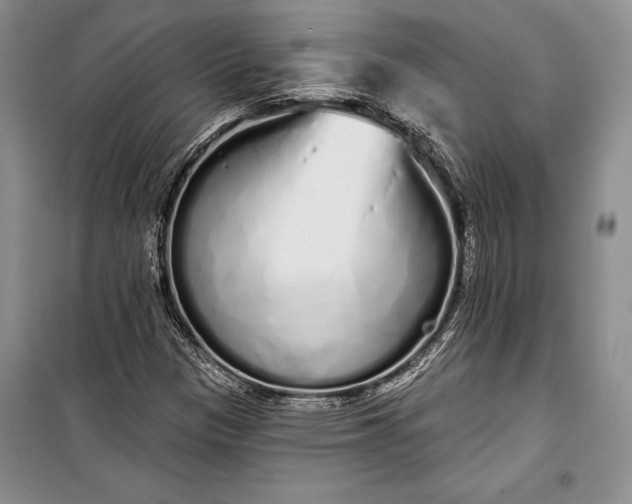 X0000100201305200806131220