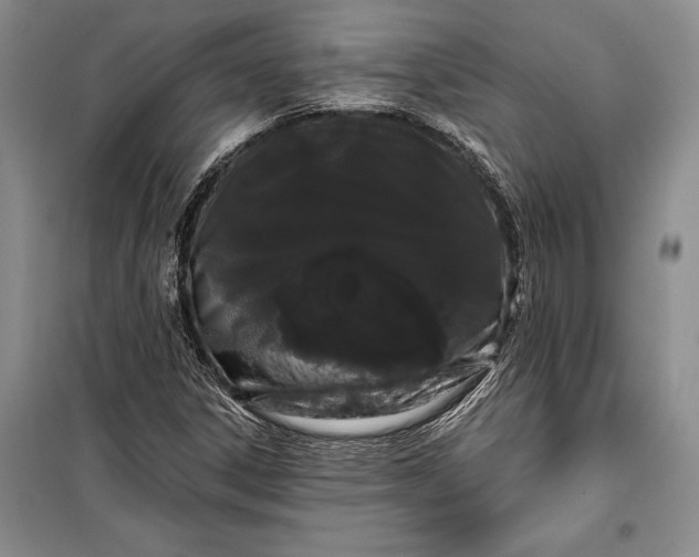 X0000100201306200806131220