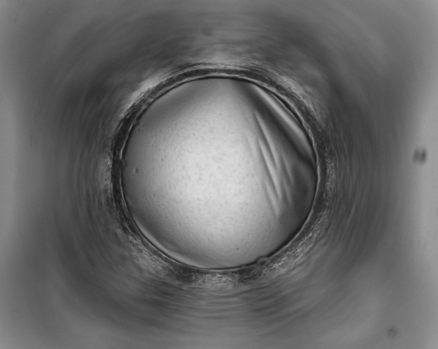 X0000100201307200806131220