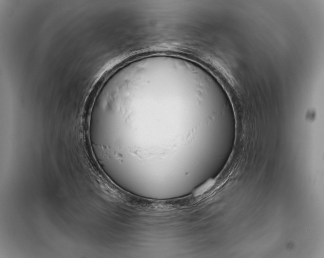 X0000100201308200806131220