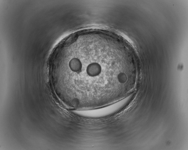 X0000100201310200806131221