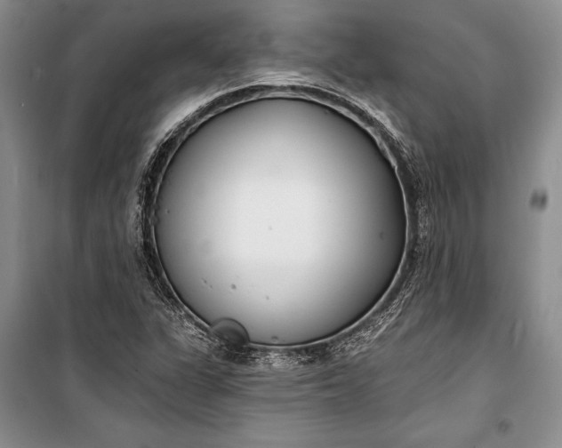 X0000100201311200806131221