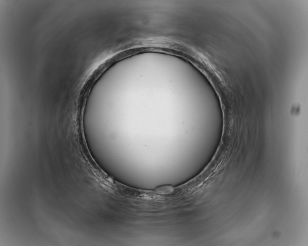 X0000100201312200806131221