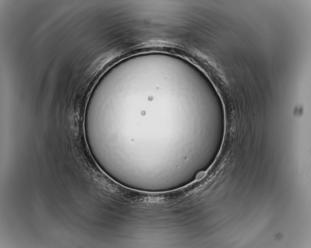 X0000100201313200806131221