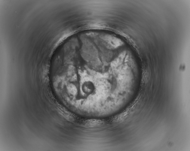 X0000100201314200806131221