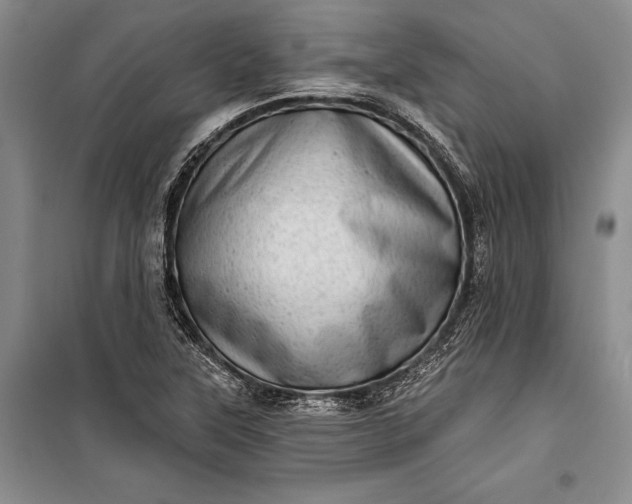 X0000100201315200806131221