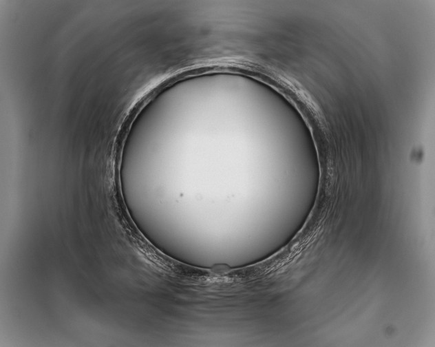 X0000100201316200806131221