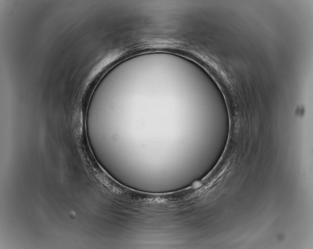 X0000100201317200806131221