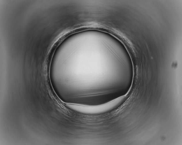 X0000100201318200806131221