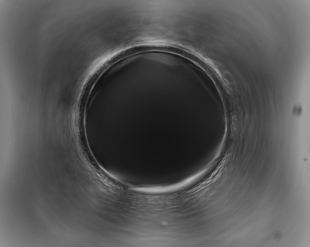 X0000100201319200806131221