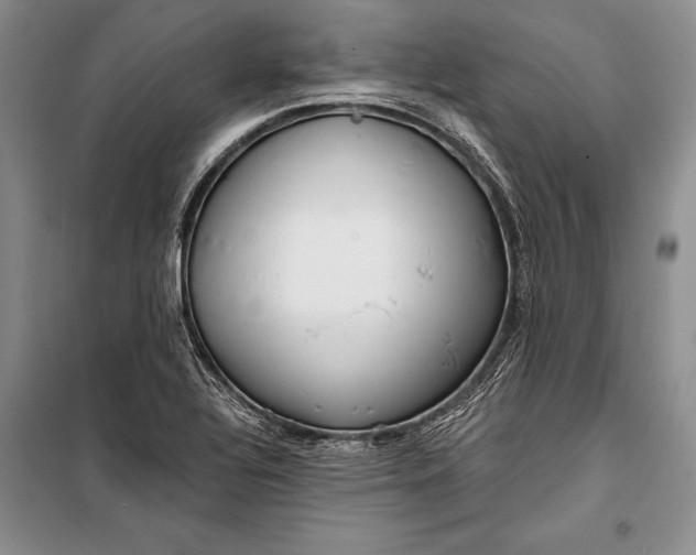 X0000100201320200806131221