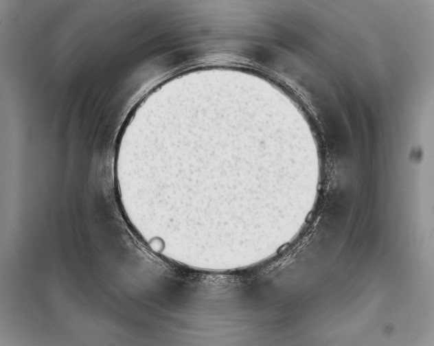 X0000100201322200806131221