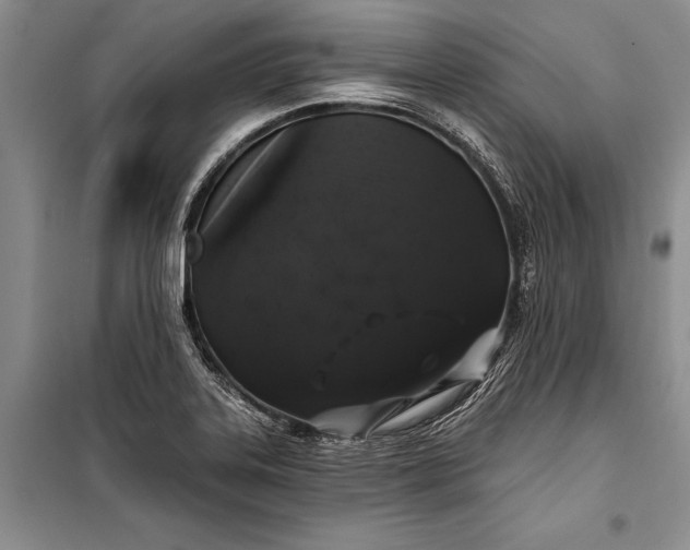 X0000100201323200806131221