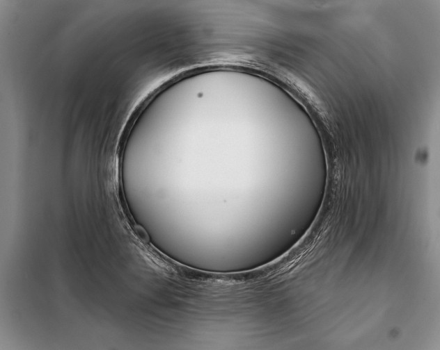 X0000100201324200806131221