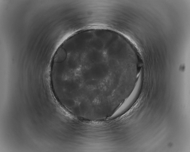 X0000100201325200806131221