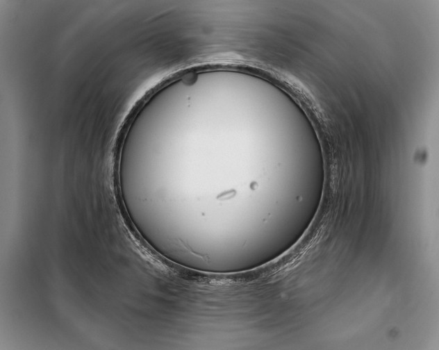 X0000100201326200806131221