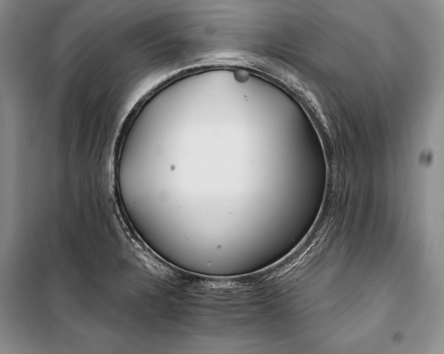 X0000100201328200806131221