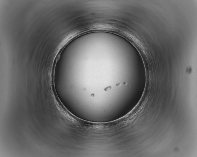 X0000100201330200806131221