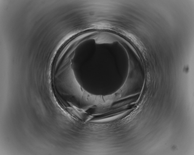 X0000100201331200806131221