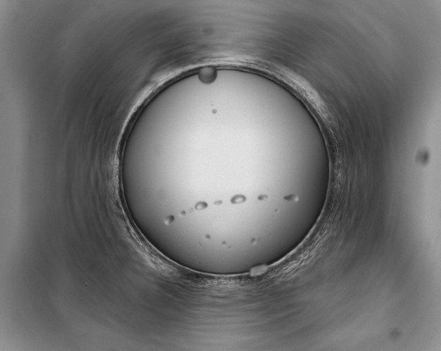 X0000100201332200806131221