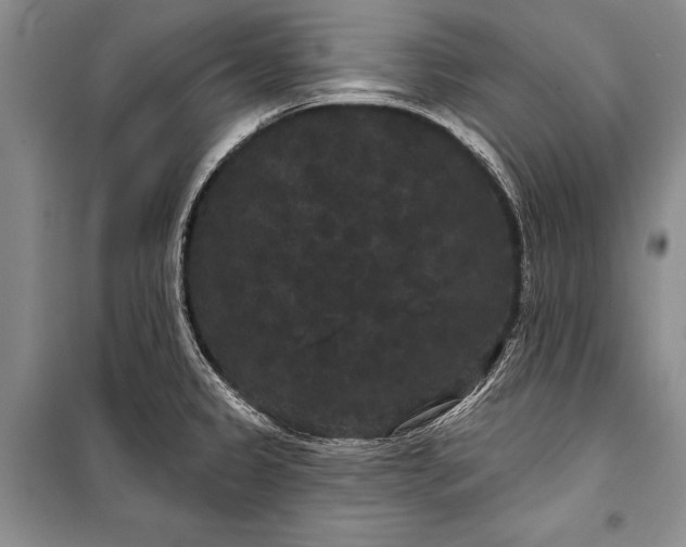 X0000100201333200806131221