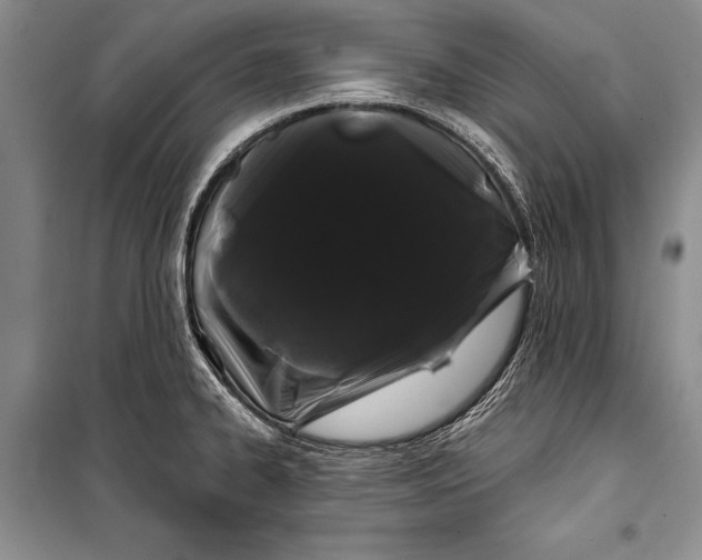 X0000100201334200806131221