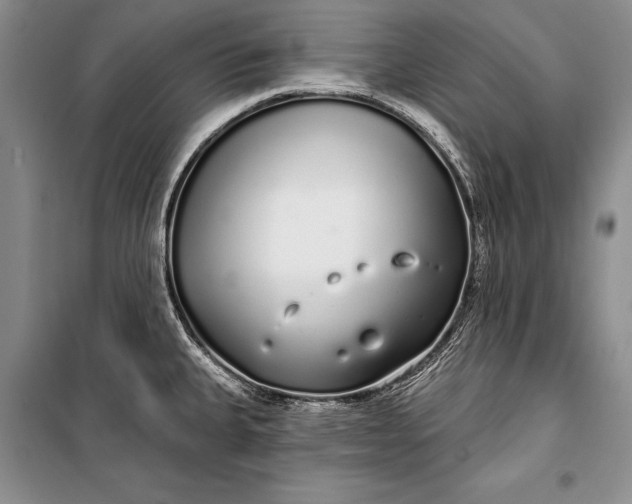 X0000100201335200806131221